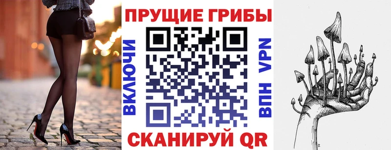 Галлюциногенные грибы Psilocybe  где можно купить   Иланский 